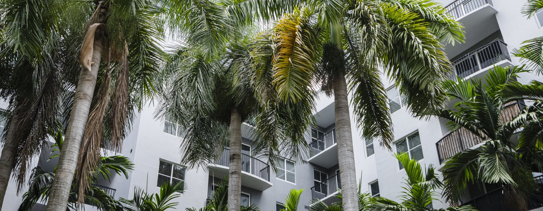 Flagler Village and Surrounding Neighborhood